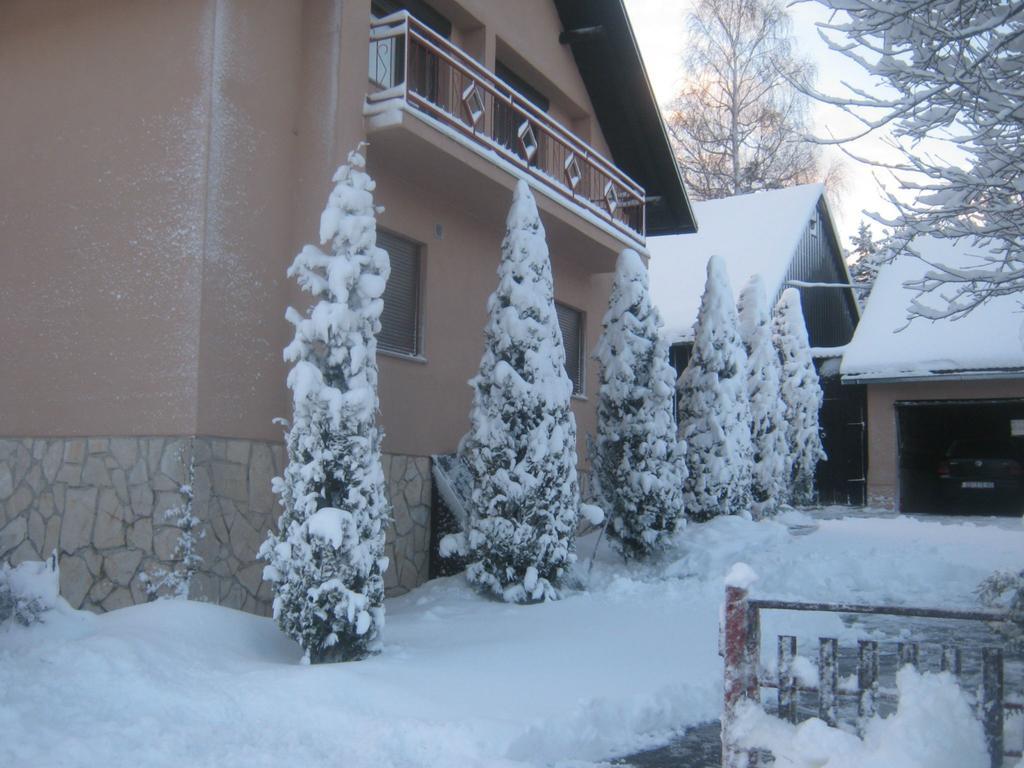 House Pribic Hotel Vrelo Koreničko Kültér fotó